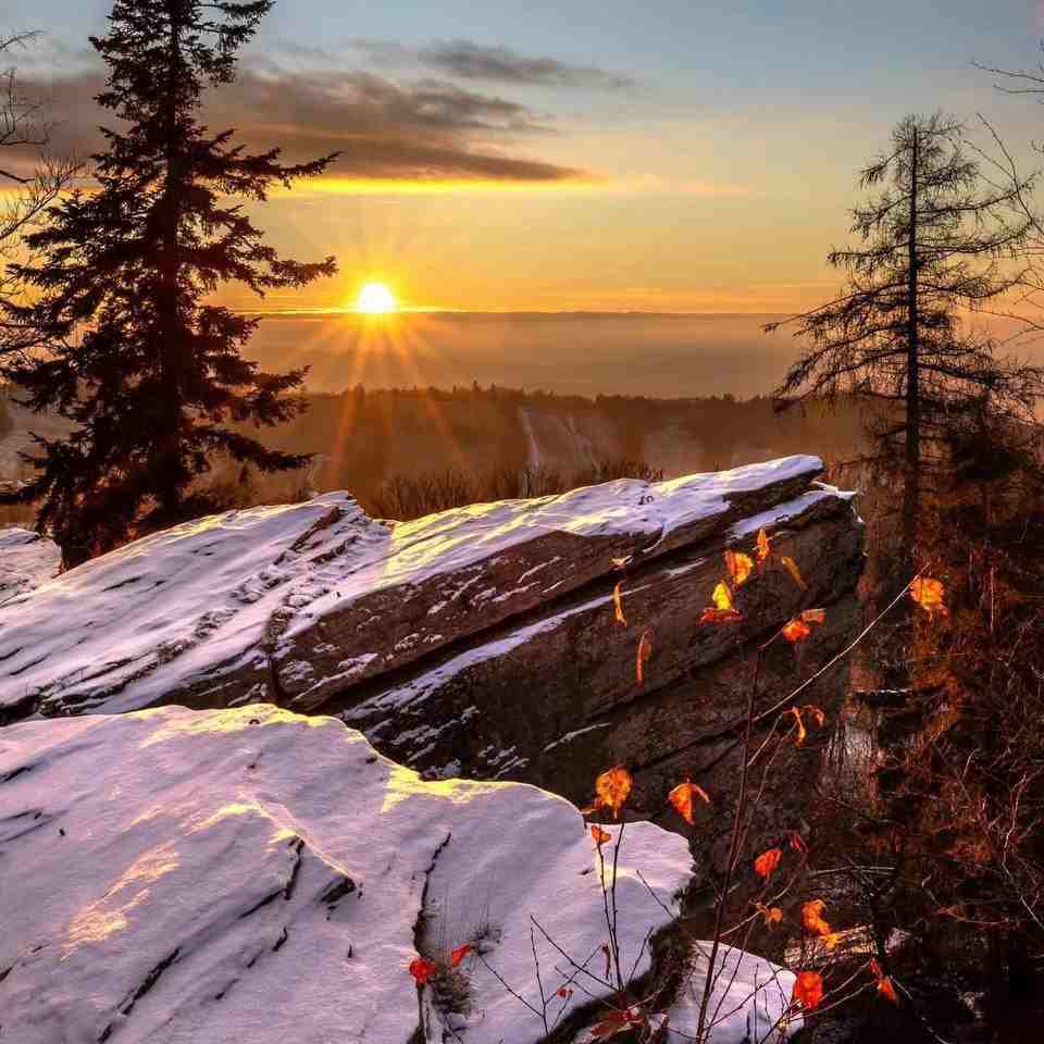 آهنگ جدید SocietyLife Paradise Found